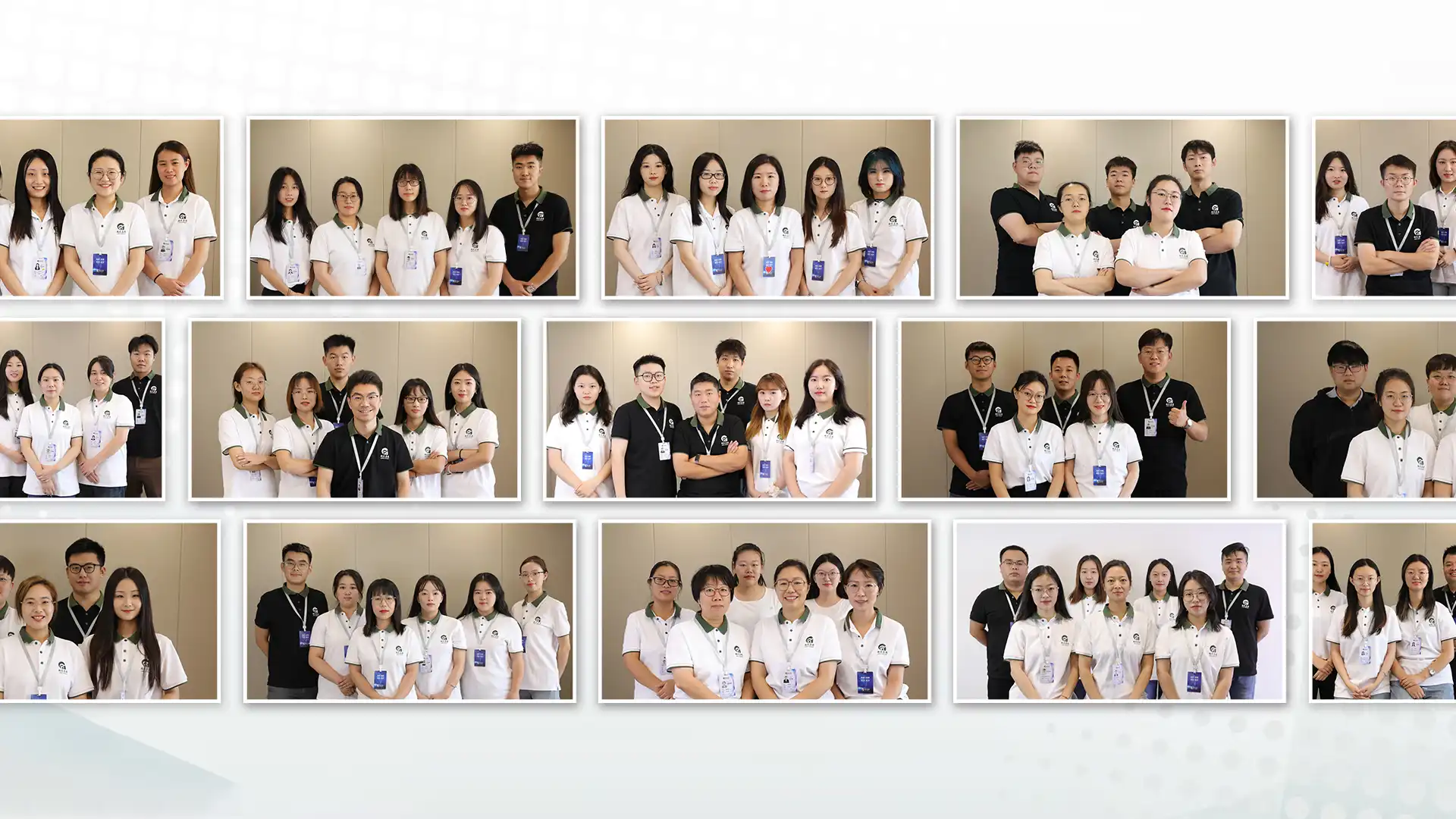 about us —— team