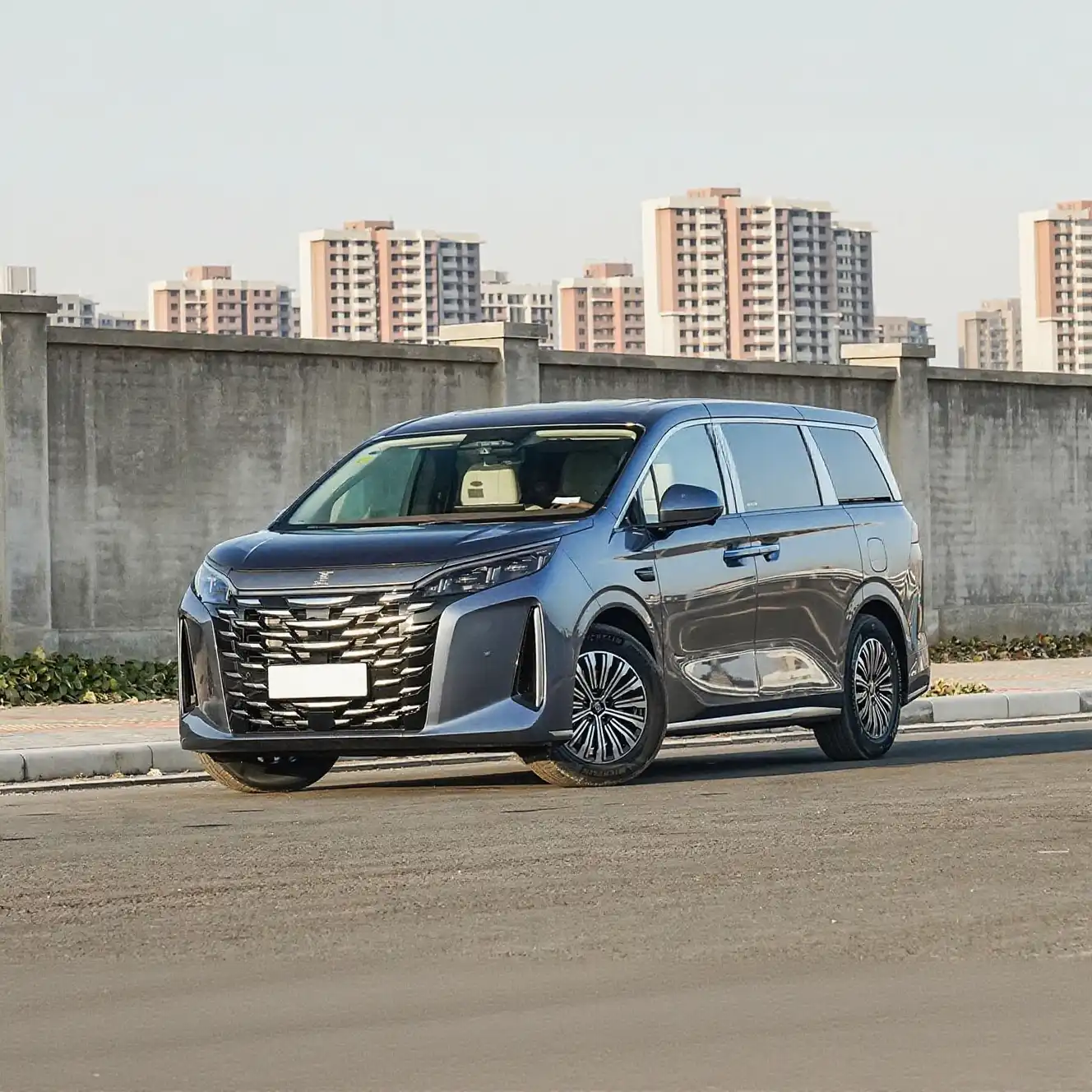 2025 BYD M9 Luxury PHEV MPV image