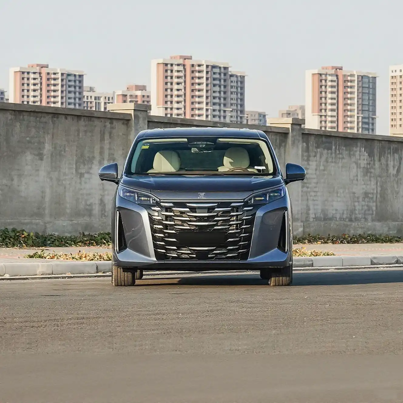 2025 BYD M9 Luxury PHEV MPV image 2