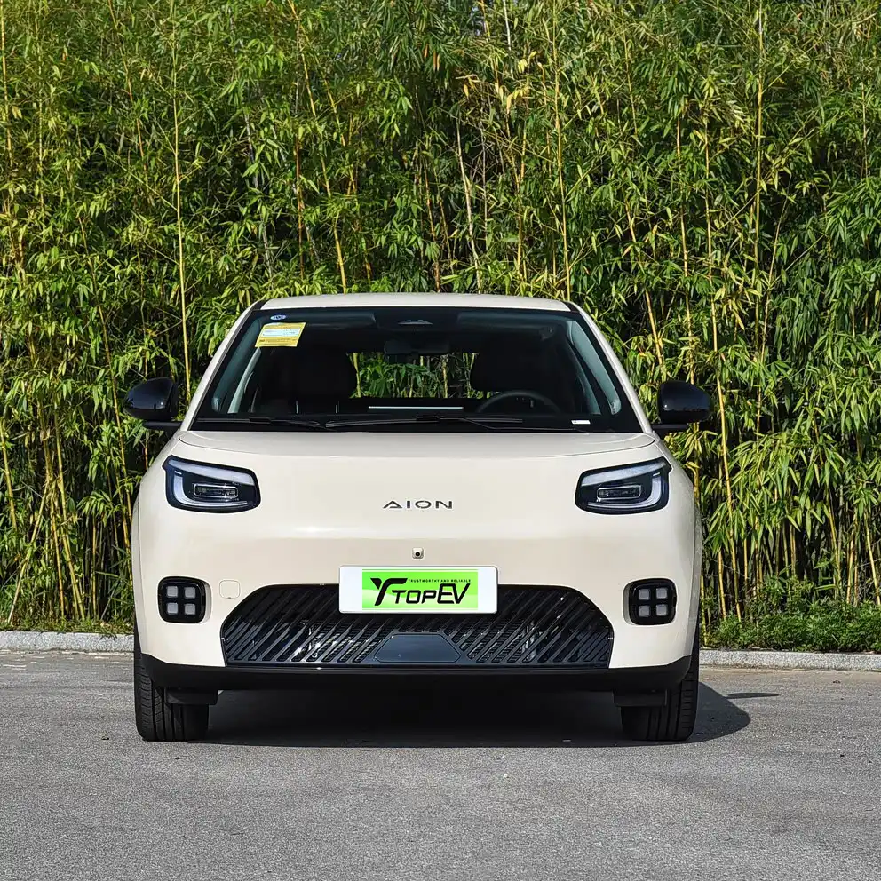 2026 AION UT SUPER image 2