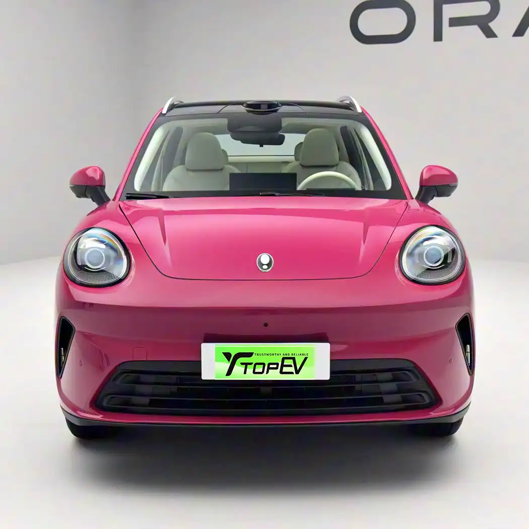 Совершенно новый GWM ORA 5 2026 image 2